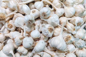 Fresh garlic seamless background.  Food background.