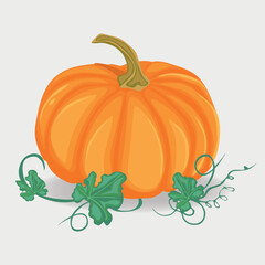 yellow pumpkin with leaves, vegetable icon