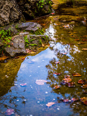 Sky reflection on a small pond in the forest, surrounded by rocks and green folliage. Early autumn scene, beautiful nature.