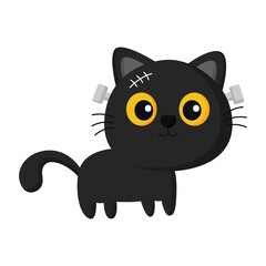 black cat in halloween costumes