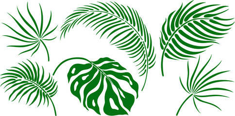 Leaf silhouette isolated on white. Tropical leaf. Hand drawn vector illustration. © ARTSTOK