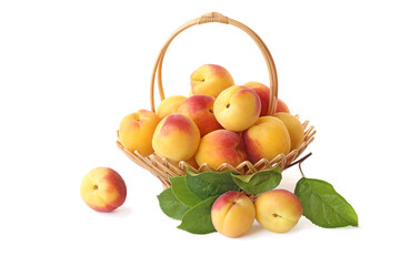 Apricots in wicker basket with sprig isolated on white