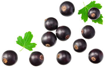 black currant with green leaf isolated on white background. clipping path. top view
