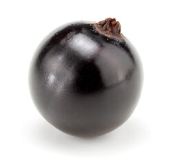 black currant isolated on white background. macro. clipping path