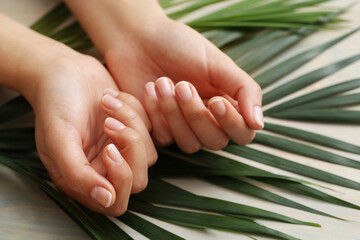Beautiful woman hands with manicure isolated on leaves background.