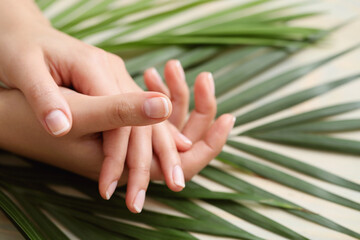 Beautiful woman hands with manicure isolated on leaves background.