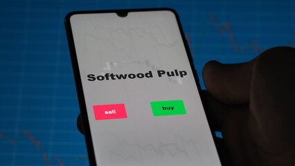 An investor's analyzing the Softwood Pulp etf fund on screen. A phone shows the ETF's prices softwood pulp to invest
