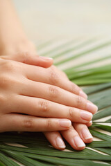 Beautiful woman hands with manicure isolated on leaves background.