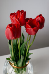 Photo of a wonderfull bouquet of red tulips on round glass vase in white modern minimalistic style in white interior daylight