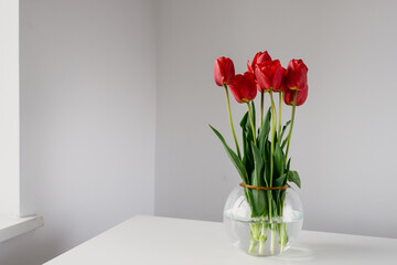 Photo of a wonderfull bouquet of red tulips on round glass vase in white modern minimalistic style in white interior daylight