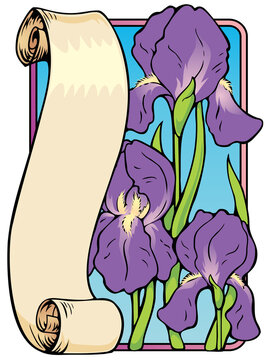 Vector illustration of a scroll bookplate with royal purple irises.