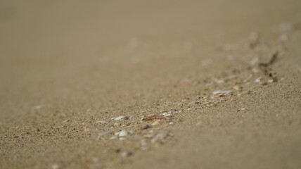 Fine sand with grains of shells close-up