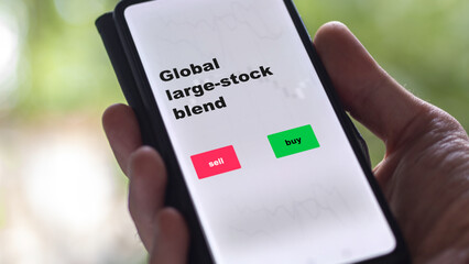 An investor's analyzing the global large-stock blend etf fund on screen. A phone shows the ETF's prices stocks to invest