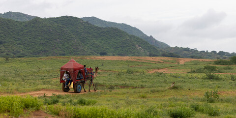 Camel caravan in Pushkar, Rajasthan (India). Nomadic gypsies.