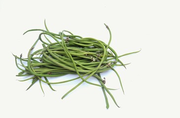 Closeup of Moringa Oleifera or Drumstick Tree Fruit Isolated on White Background with Copy Space, Also Known as Horseradish Tree