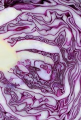 Obraz premium Closeup of Red Cabbage in Vertical Orientation