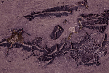  Background of molten black resin, frozen in a chaotic pattern on a pastel wall, traces of debris and earth