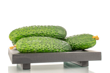 Three organic green cucumbers on a wooden tray, close-up, isolated on a white background.