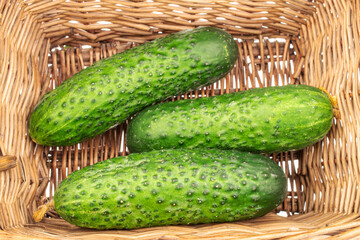 Three organic green cucumbers in a basket, close-up.