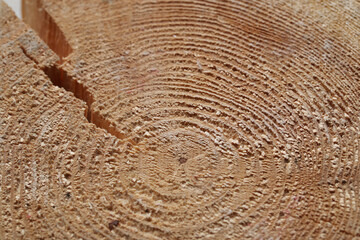 Old weathered wood texture with a cross-section of chopped logs.