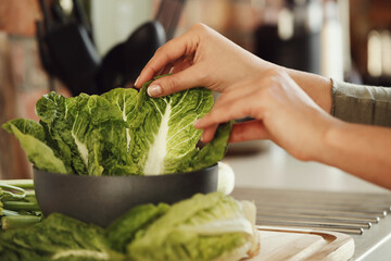 Woman's hands dribbling lettuce in the bowl at the kitchen