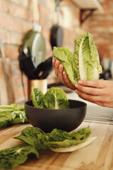 Woman's hands dribbling lettuce in the bowl at the kitchen