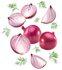 flying red sliced onion with green leaves isolated on white background. clipping path