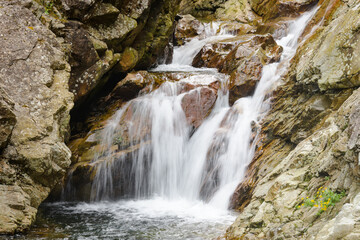 Water cascades over a rocky section of the South Fork Snoqualmie River during summer