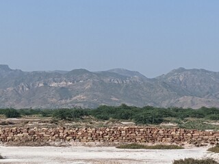 landscape with mountains and trees