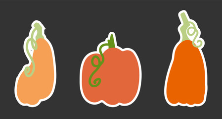 Beautiful cute pumpkin sticker set. A collection of decor for celebrating and decorating Halloween. Minimalistic vector silhouette of a pumpkin in a flat style