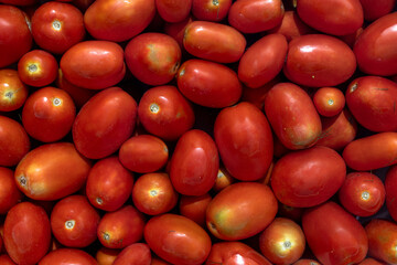 Red tomatoes in water, top view