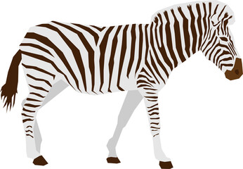 Fototapeta na wymiar Zebra animal flat vector design isolated