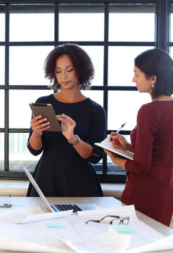 Women executives at the office discuss some documents.