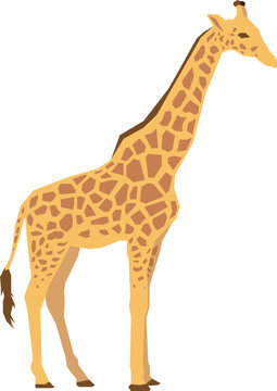 Giraffe animal flat vector design isolated