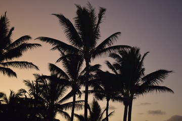 Fototapeta premium mauritius