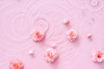 Fototapeta na wymiar Summer background with pink roses in water with drops. Minimal natural abstract backdrop