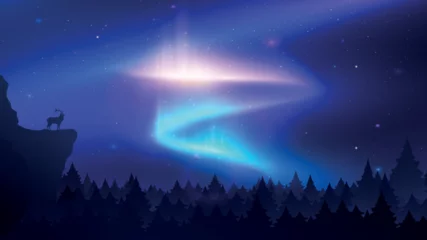  Night Sky Aurora Background Vector Illustration © CreativeStock