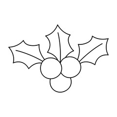 Christmas mistletoe icon.