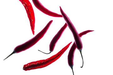 Flying red chili peppers isolated on a white background.
