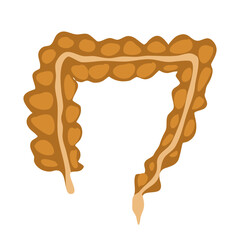 organs in the human body