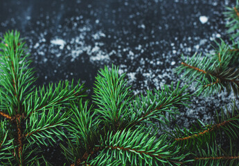 Fototapeta na wymiar Top view of Christmas little green artificial tree on dark surface