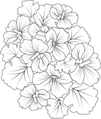 Set of hand drawn stylized outline geranium flower  isolated on white background. Highly detailed vector illustration, botanic leaf branch or buds engraved ink art coloring page for children or adult 