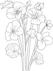 Set of hand drawn stylized outline geranium flower  isolated on white background. Highly detailed vector illustration, botanic leaf branch or buds engraved ink art coloring page for children or adult 