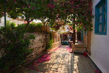 Kas town cozy street. Overgrown with flowers Turkish village blooming street.