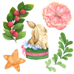 Watercolor set with a brown rabbit in a box. Pink peony, star, lingonberry, red berries.