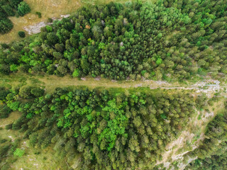 Fototapeta na wymiar Fotografía aérea de bosque forestal en Andorra, Arinsal. Otoño 2021