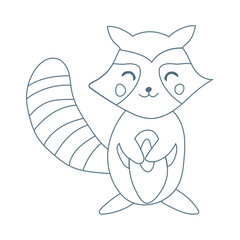 cute racoon animals