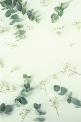 Close up photo of fresh eucalyptus leaves against a neutral background.
