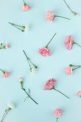 Top view of floral composition with pink roses on a blue background.