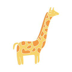 cute giraffe animals